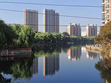 今日彩市指南，智慧购马，乐享生活—揭秘今天买什么特码的奥秘